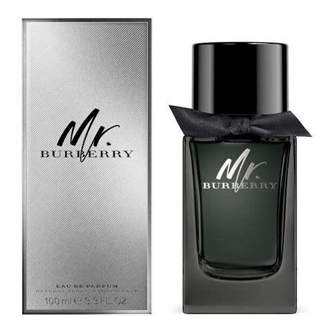 burberry mr burberry eau spray stores|burberry perfume for men's price.